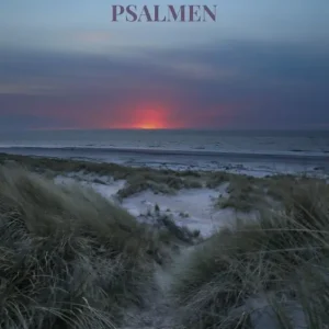 150 gedichten bij de Psalmen Betaalbaar