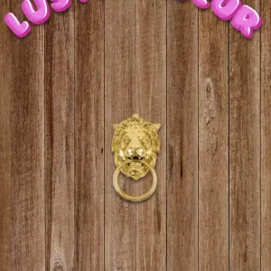 Alleen Vandaag Lustrumdeur