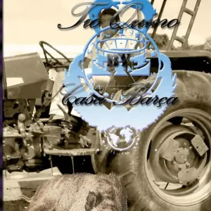 100% Dolby Stereo Hete Deal