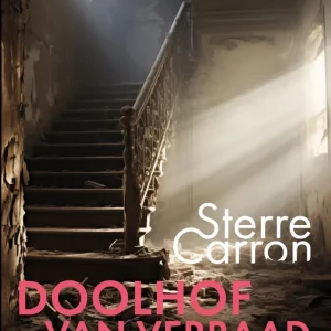 Meest Verkocht Doolhof van verraad