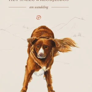 Voordeelprijs Het sneeuwklokjesbos