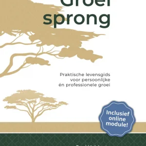 Direct Beschikbaar Groeisprong