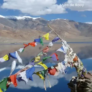 Windhorse House Premium