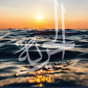 Vrijheid in zicht Direct Beschikbaar