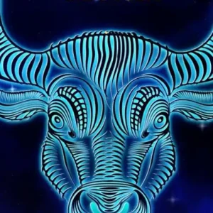 Alleen Vandaag De Stier