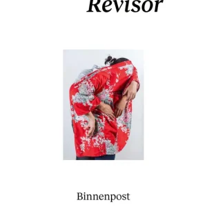 Actieprijs Revisor Binnenpost