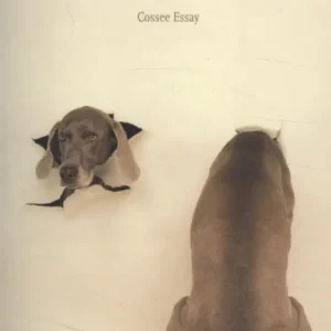 Waarom naar dieren kijken Tijdelijk Beschikbaar