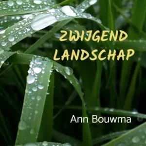 Zwijgend landschap Uitverkoop