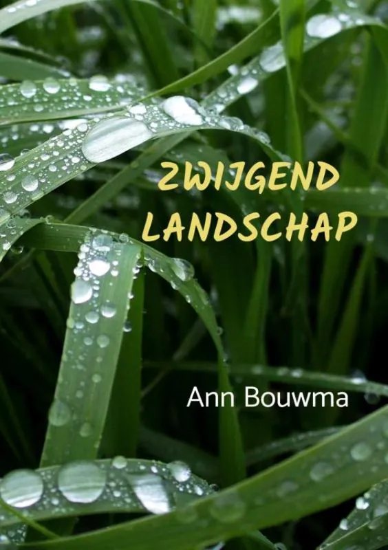 Zwijgend landschap Uitverkoop