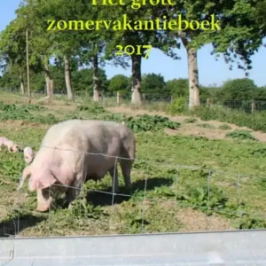 2017 Koopje