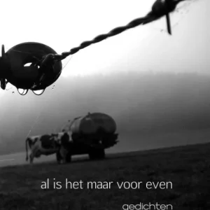 Aanbieding Al is het maar voor even