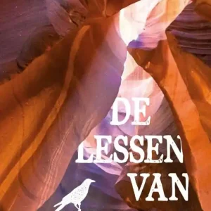 Bestel Nu De lessen van Don Juan