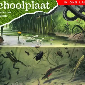 Betrouwbaar In ons land