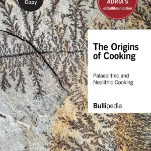 Beperkt Aanbod The Origins of Cooking