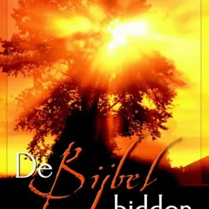 Bestel Nu De Bijbel bidden