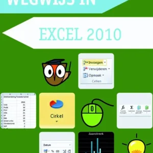 Wegwijs in Excel 2010 Merkproduct