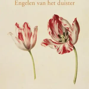 Korting Engelen van het duister