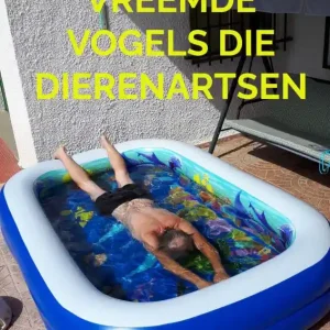 Veilige Betaling Vreemde Vogels die Dierenartsen