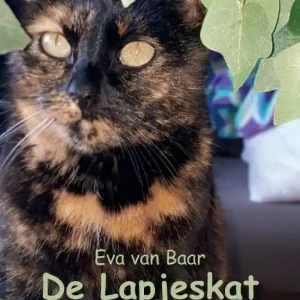 De Lapjeskat Shop Nu