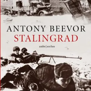 Stalingrad Premium