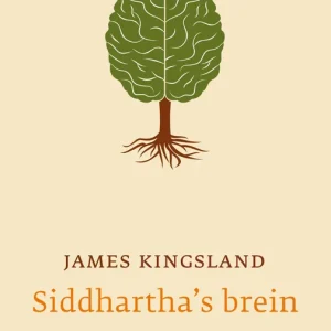 Betrouwbaar Siddhartha's brein
